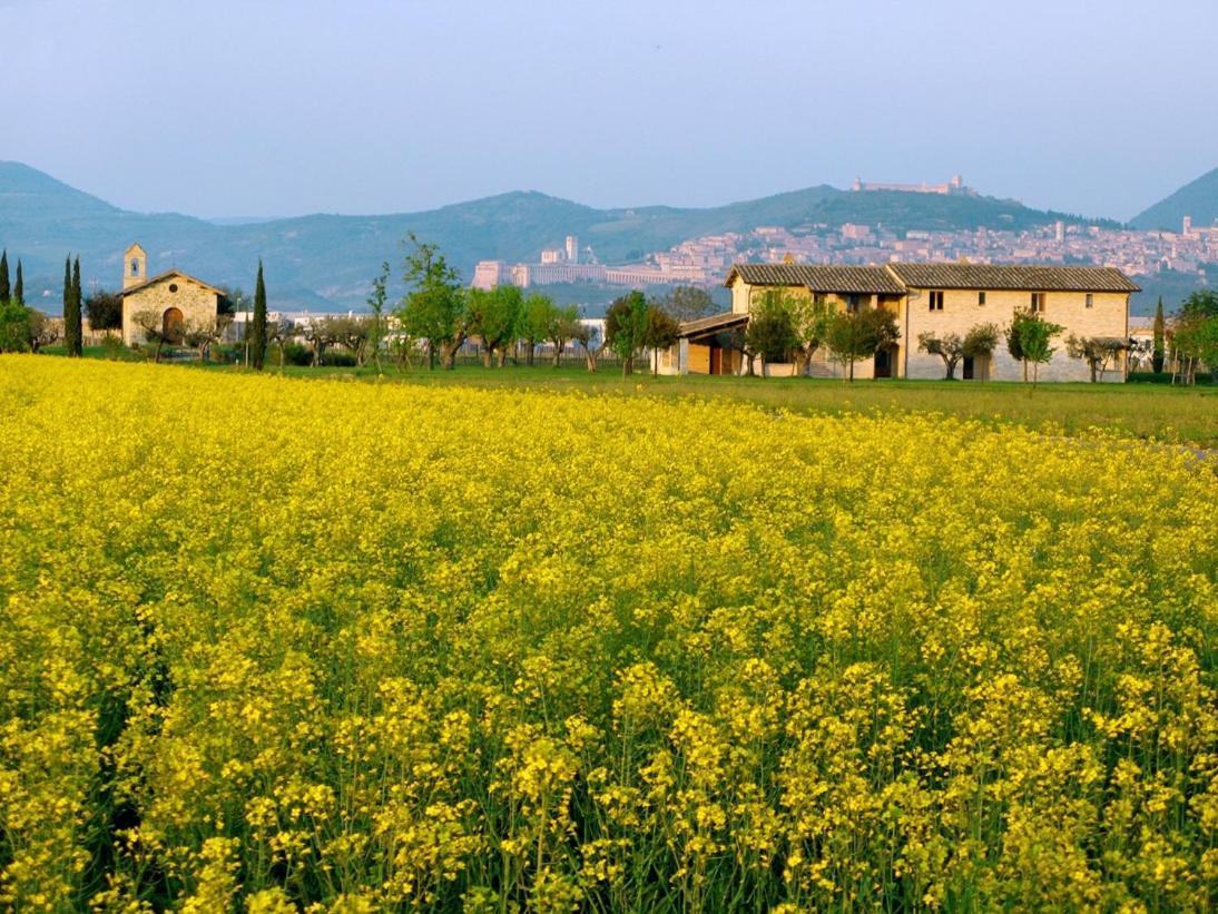 Valle Di Assisi Country Apartments Exterior foto